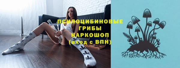 марихуана Абаза