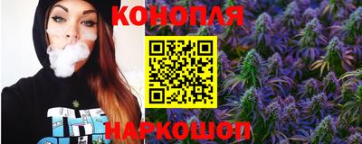 мяу мяу мука Кандалакша