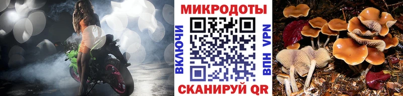 Псилоцибиновые грибы Psilocybine cubensis  Ливны 
